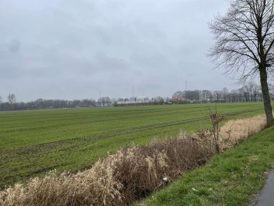 altenrheine_IMG_9072