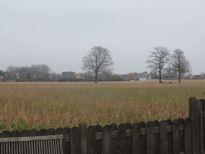 altenrheine_IMG_9953