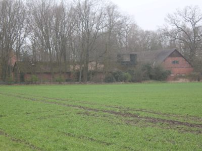 altenrheine_IMG_9958